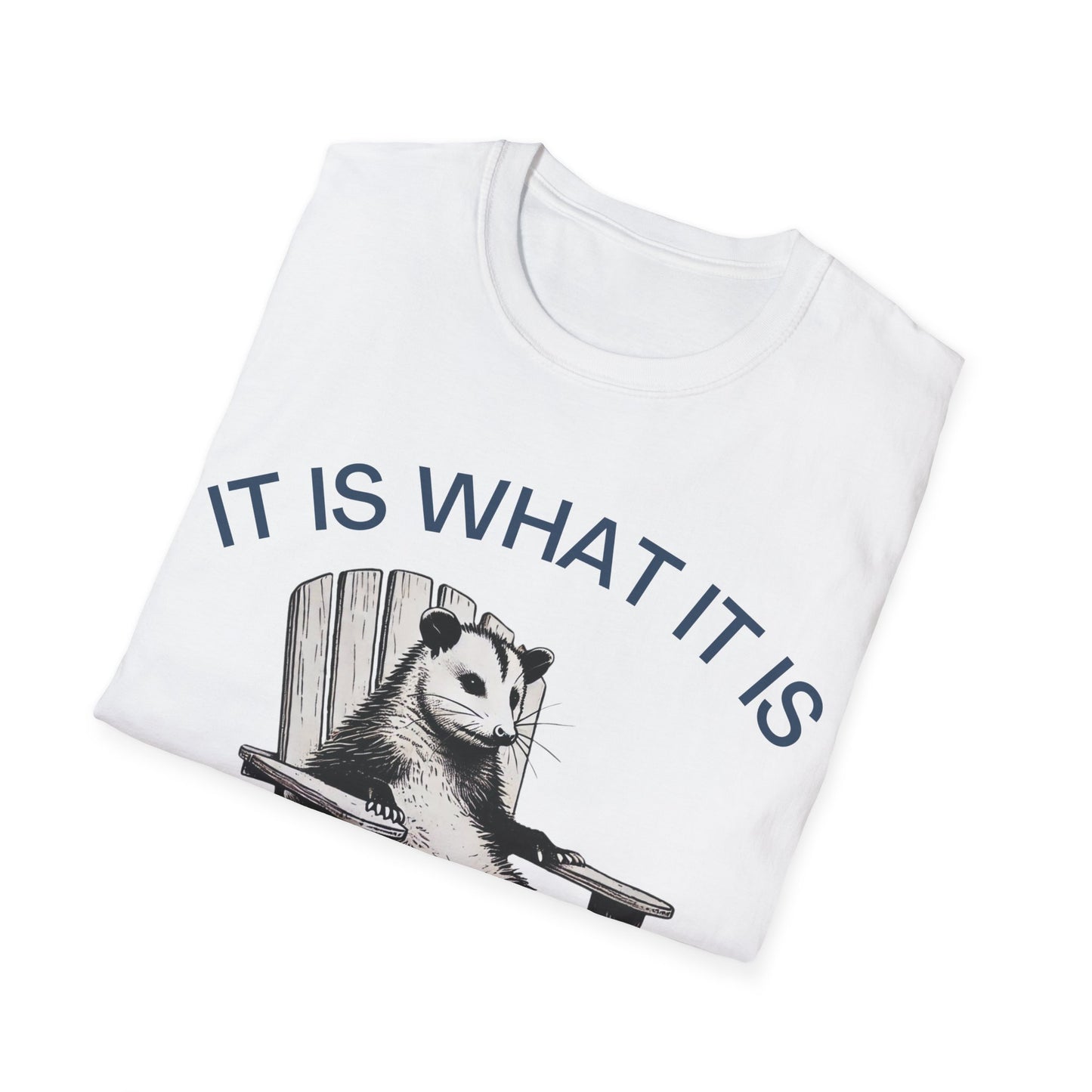 It Is What It Is And It Is Not Great (Opossum) T-shirt