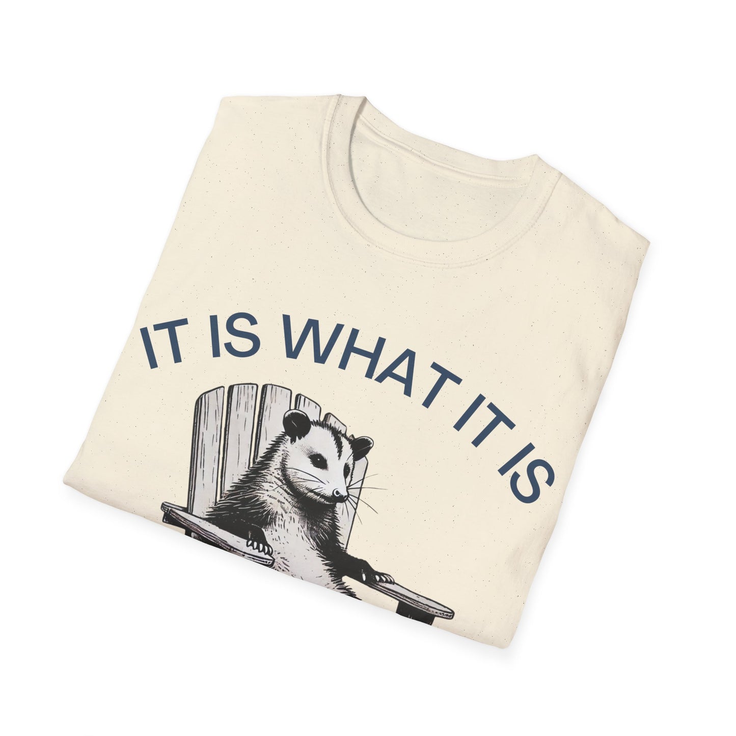 It Is What It Is And It Is Not Great (Opossum) T-shirt