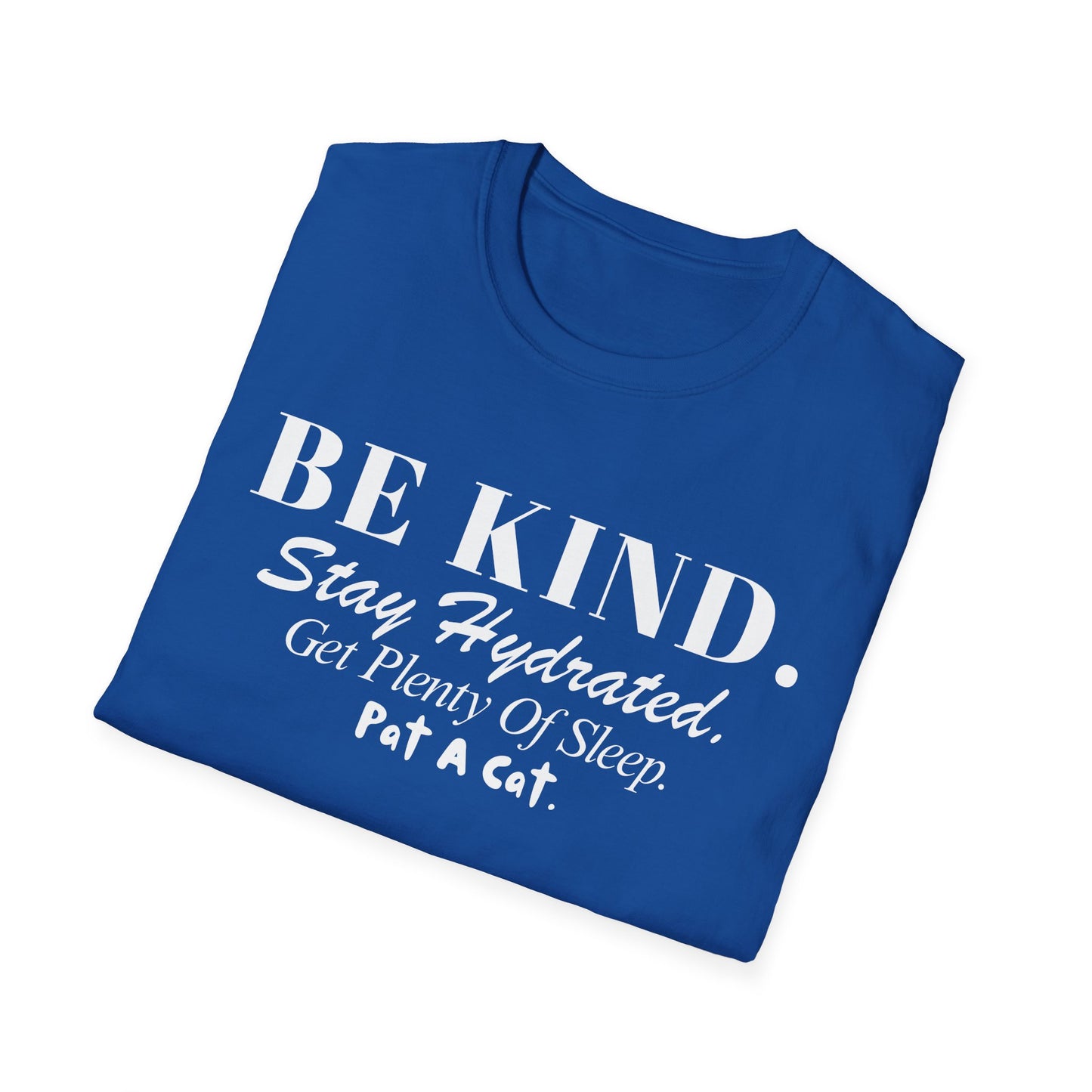 Be Kind. Stay Hydrated. Get Sleep. Pat A Cat T-shirt