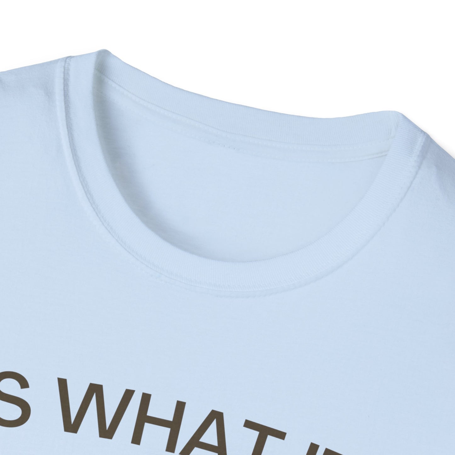 It Is What It Is And It Is Not Great (Frog) T-shirt