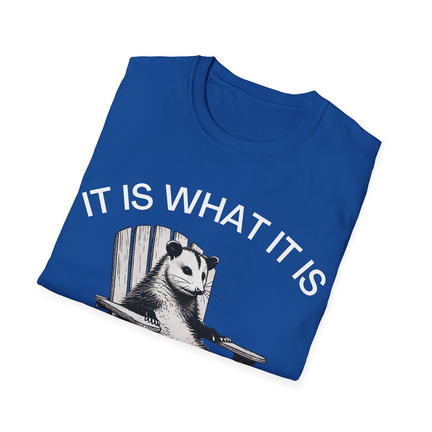 It Is What It Is And It Is Not Great (Opossum) T-shirt