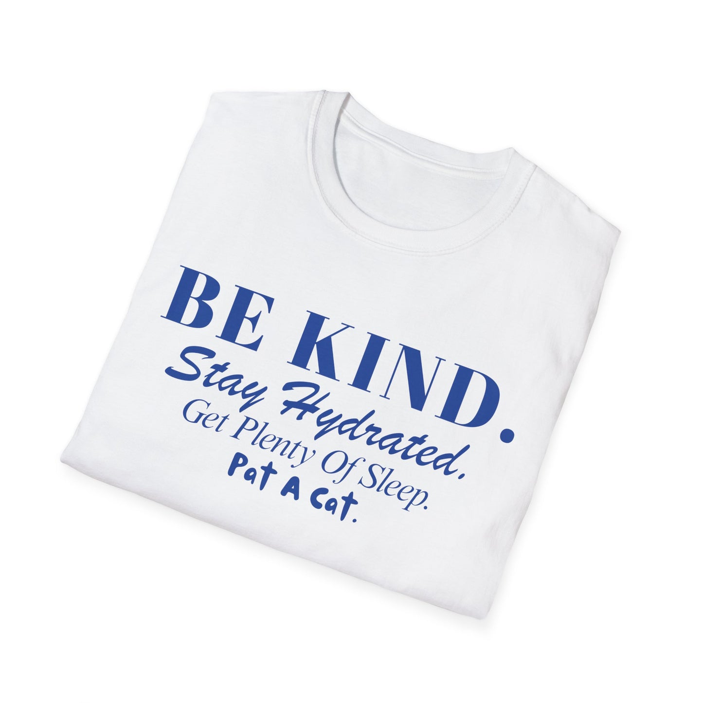 Be Kind. Stay Hydrated. Get Sleep. Pat A Cat T-shirt