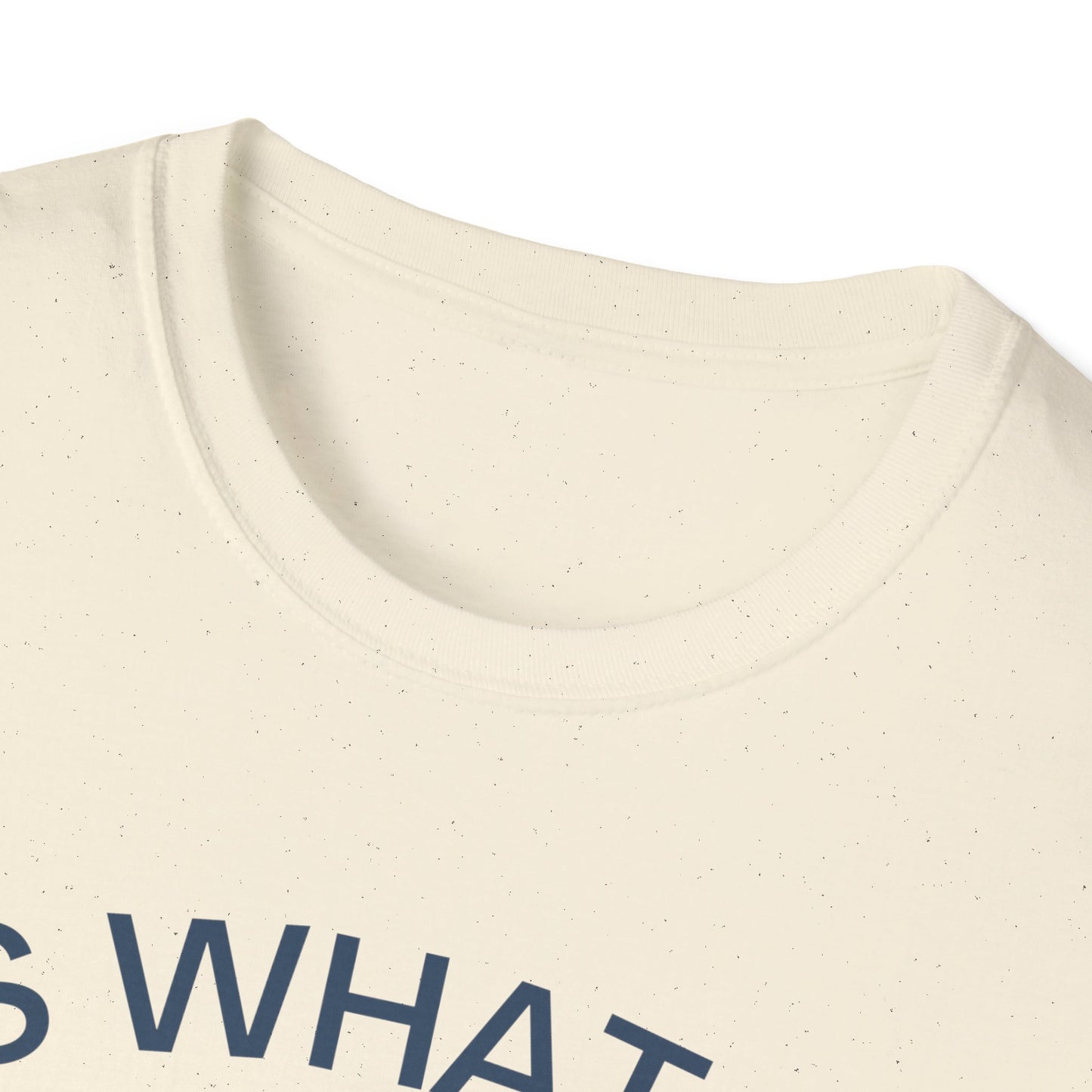 It Is What It Is And It Is Not Great (Opossum) T-shirt