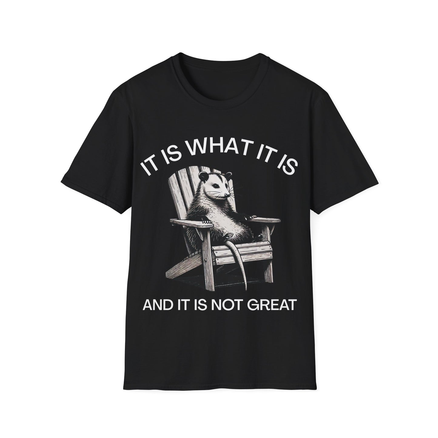 It Is What It Is And It Is Not Great (Opossum) T-shirt