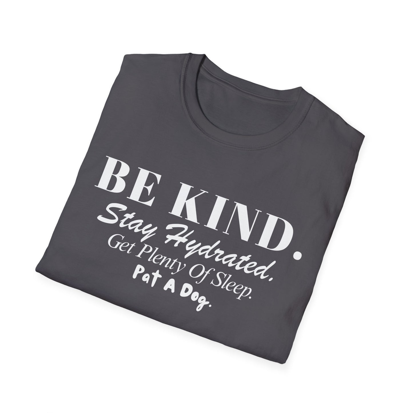 Be Kind. Stay Hydrated. Get Sleep. Pat a Dog T-shirt