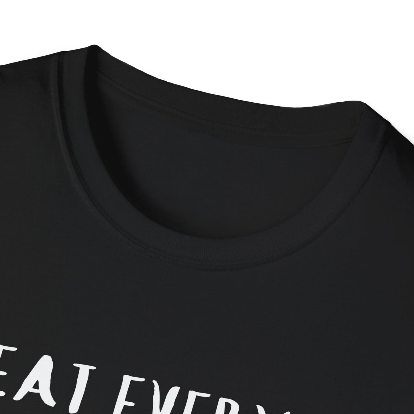 Treat Everyone With Kindness (Rainbow Cats) T-shirt