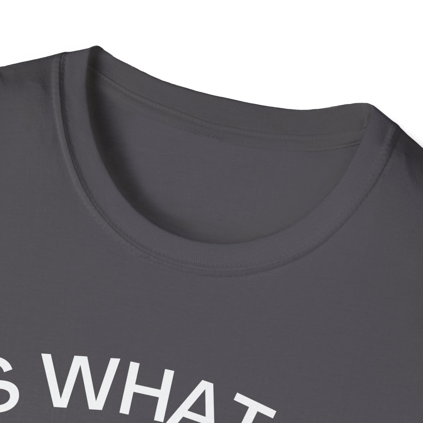 It Is What It Is And It Is Not Great (Opossum) T-shirt