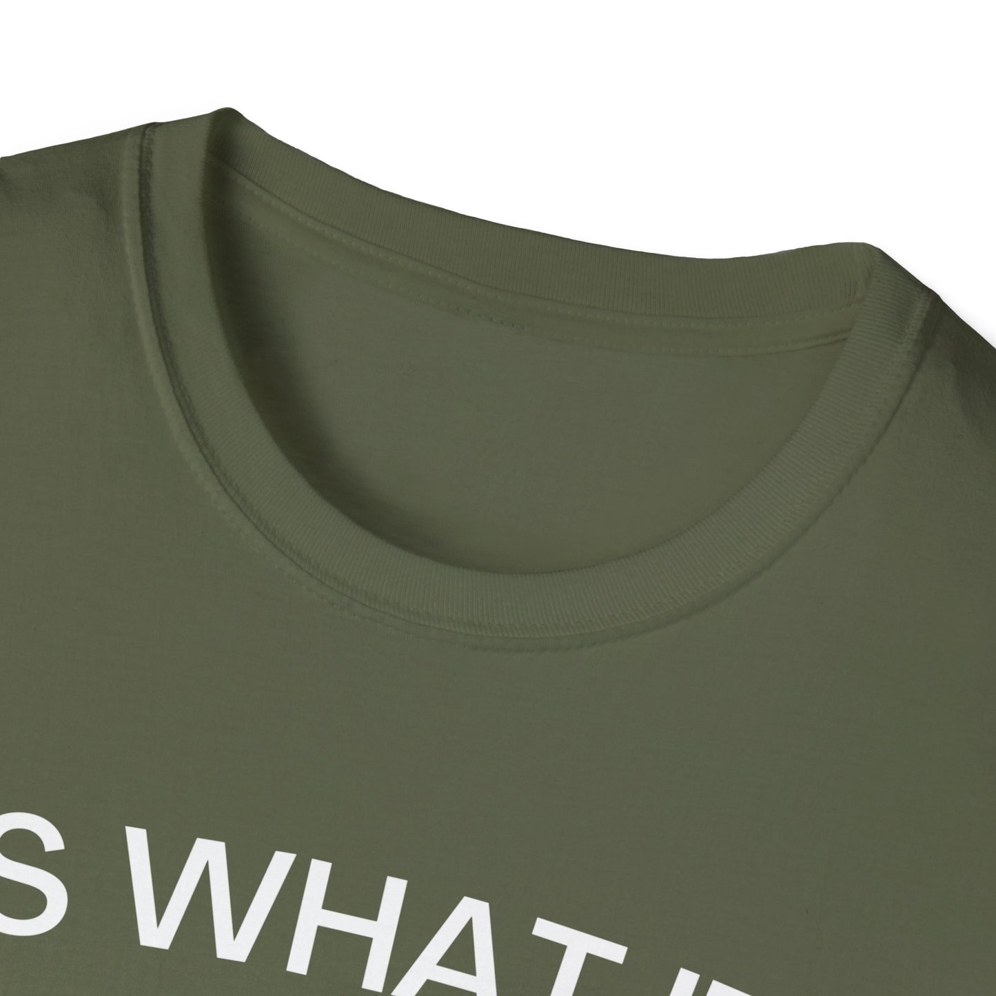It Is What It Is And It Is Not Great (Frog) T-shirt