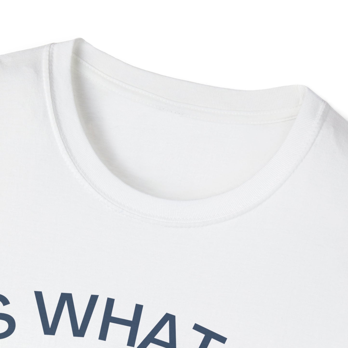It Is What It Is And It Is Not Great (Opossum) T-shirt