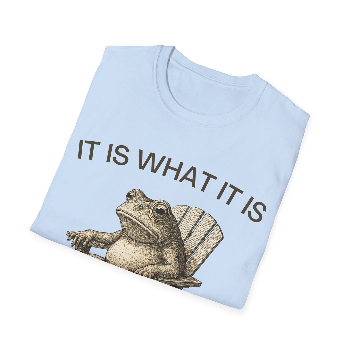 It Is What It Is And It Is Not Great (Frog) T-shirt