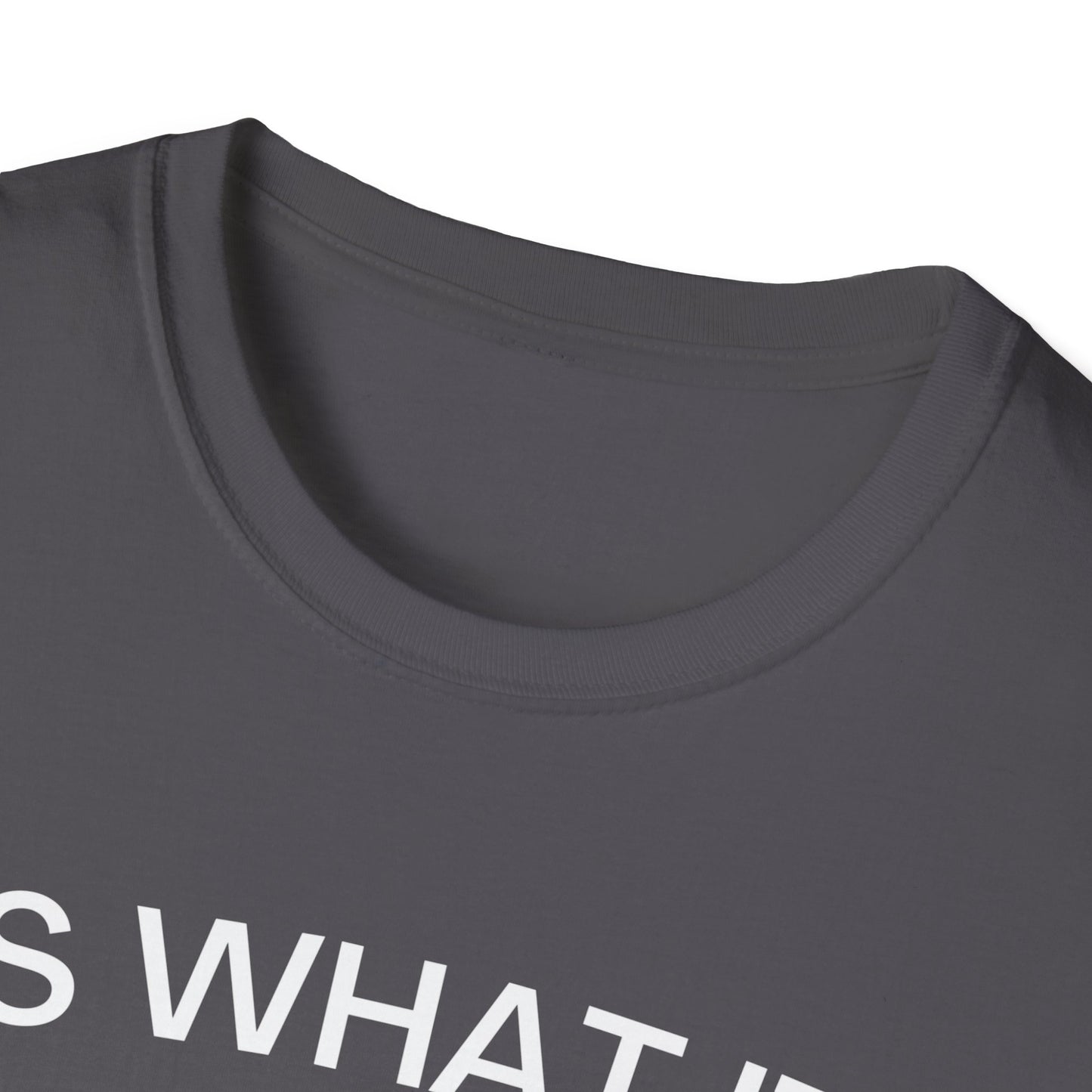 It Is What It Is And It Is Not Great (Frog) T-shirt