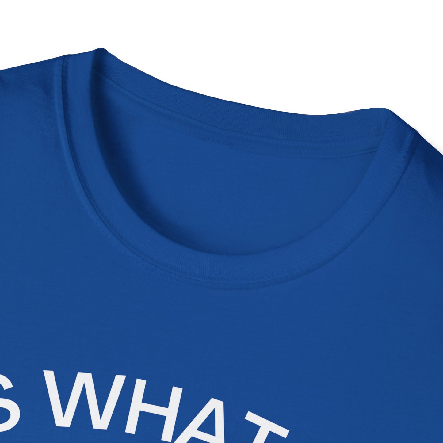 It Is What It Is And It Is Not Great (Opossum) T-shirt