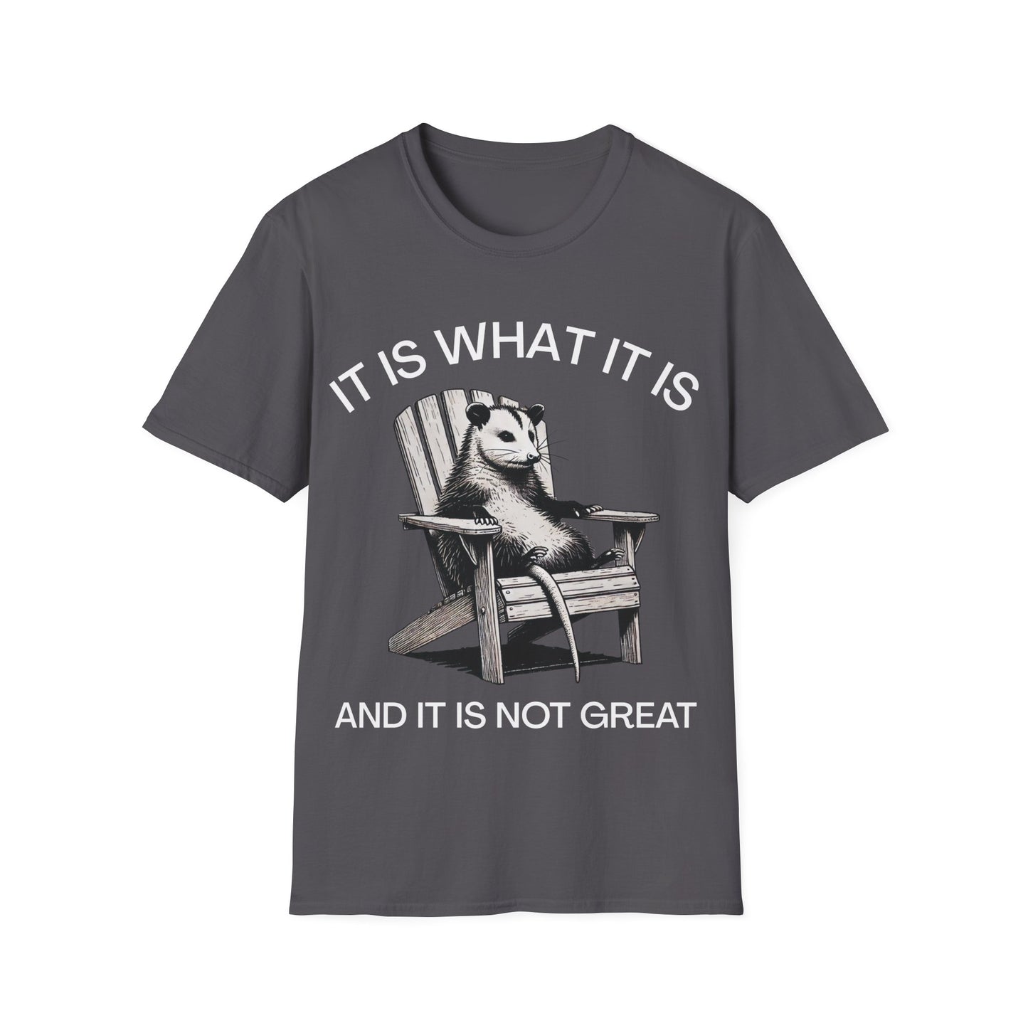 It Is What It Is And It Is Not Great (Opossum) T-shirt