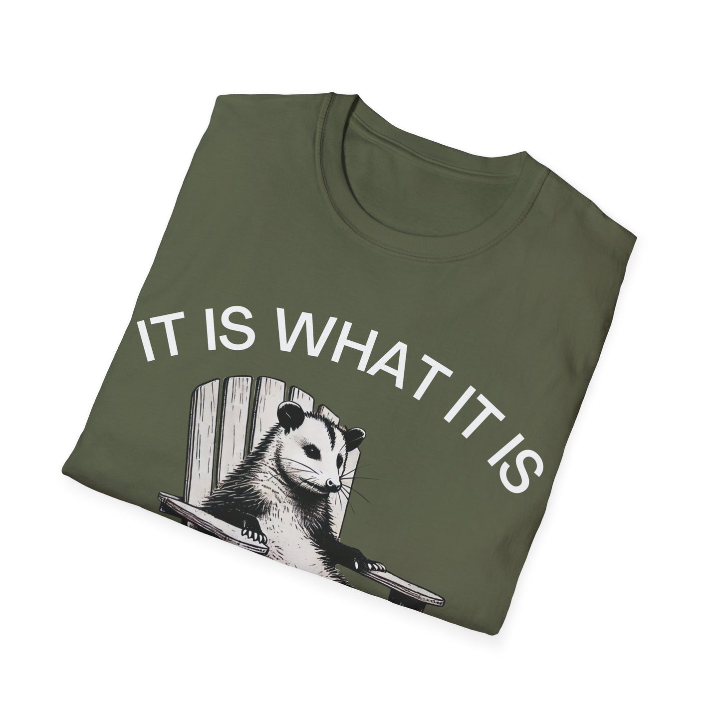 It Is What It Is And It Is Not Great (Opossum) T-shirt