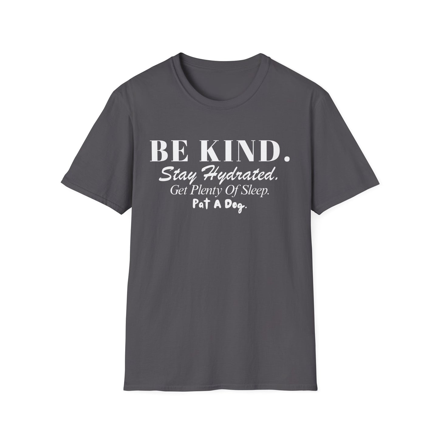 Be Kind. Stay Hydrated. Get Sleep. Pat a Dog T-shirt