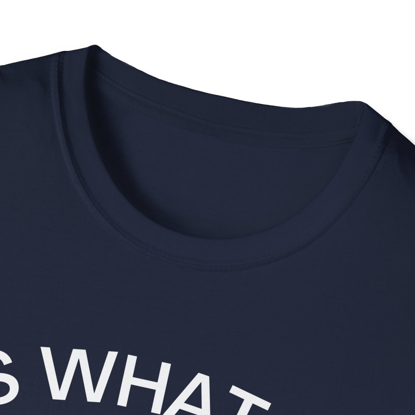 It Is What It Is And It Is Not Great (Opossum) T-shirt