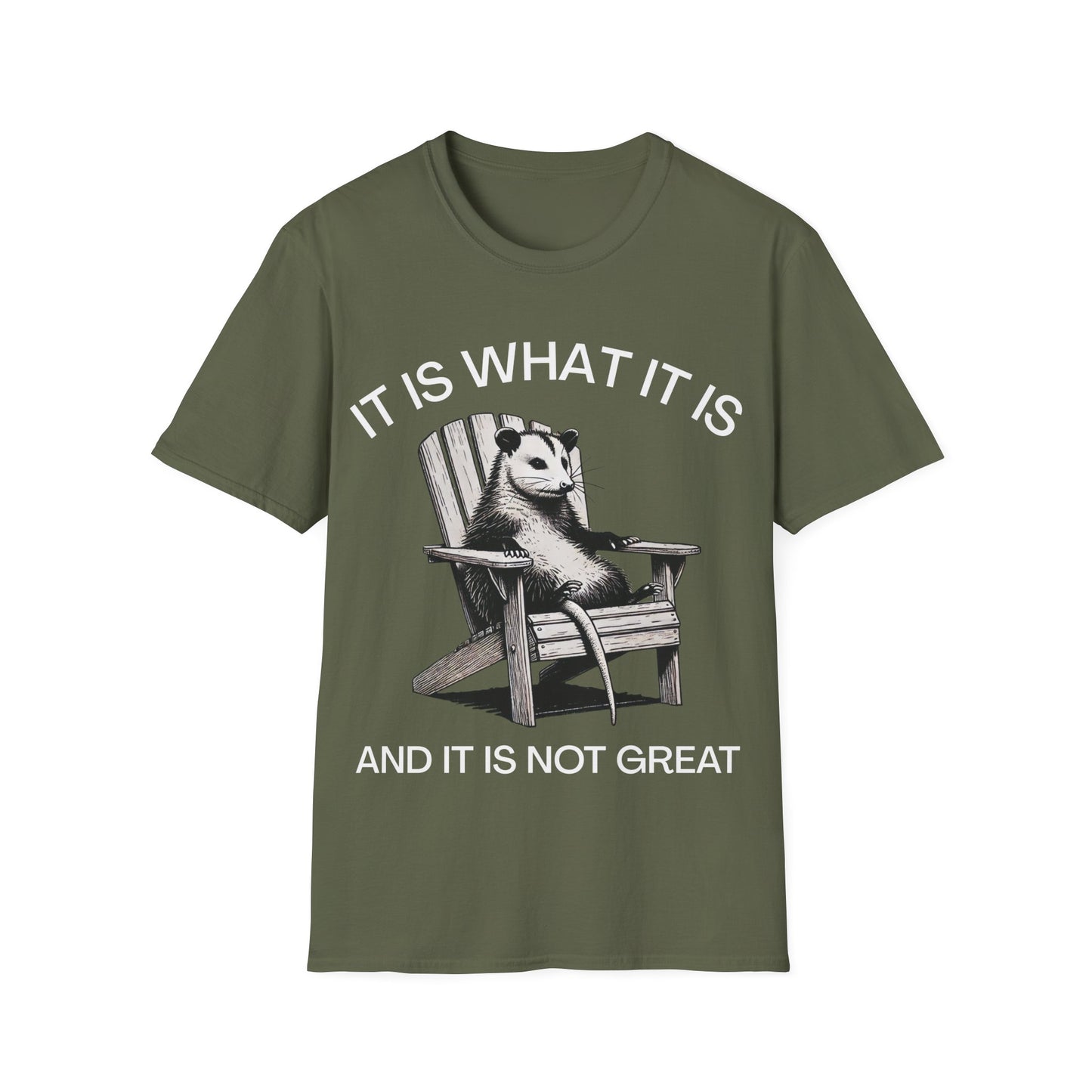 It Is What It Is And It Is Not Great (Opossum) T-shirt