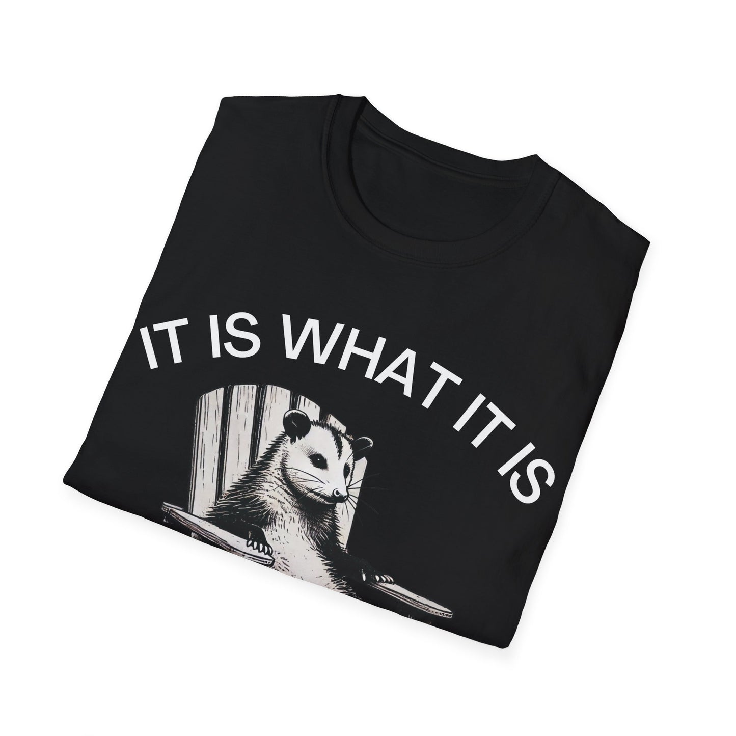 It Is What It Is And It Is Not Great (Opossum) T-shirt