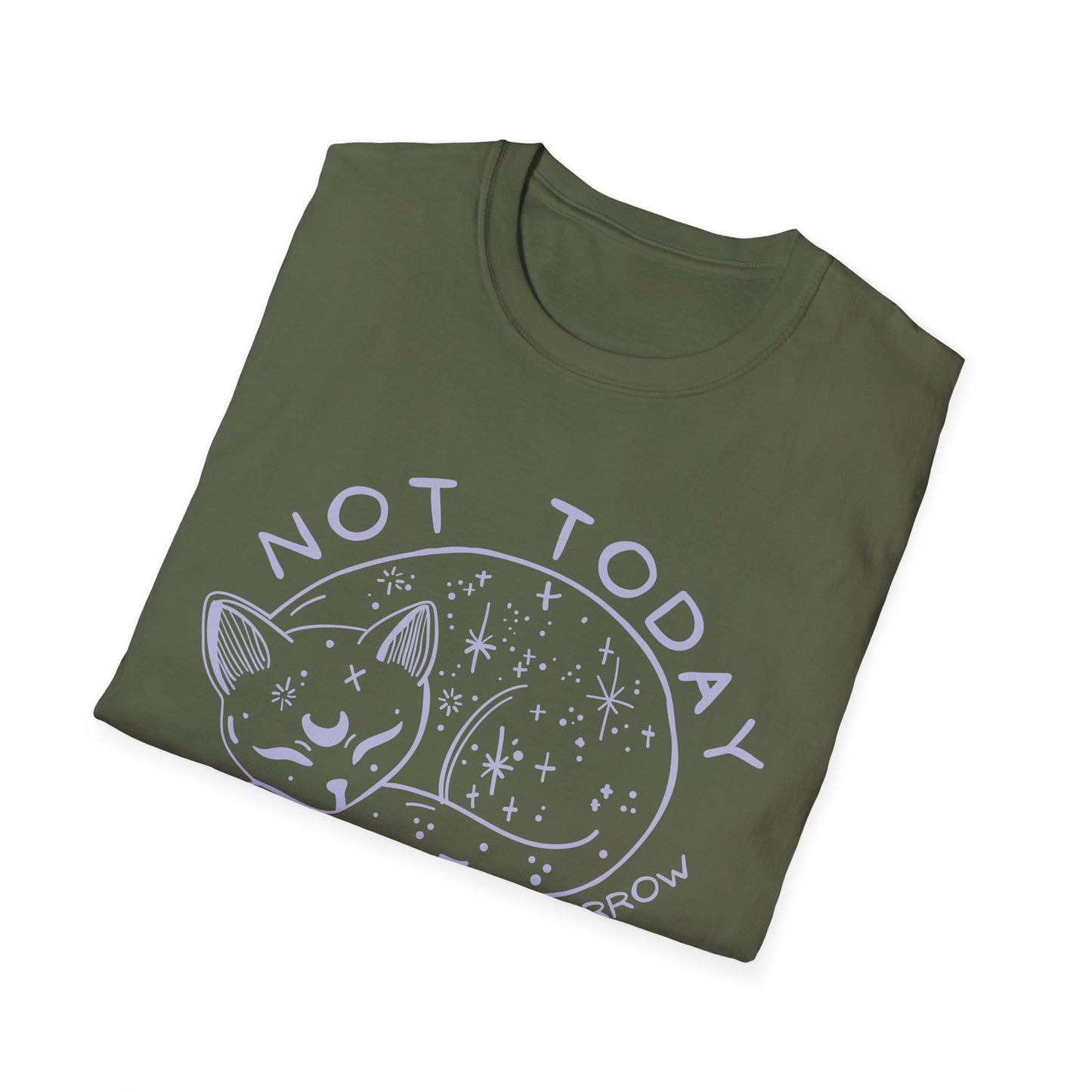 Not Today Maybe Tomorrow Cat T-shirt