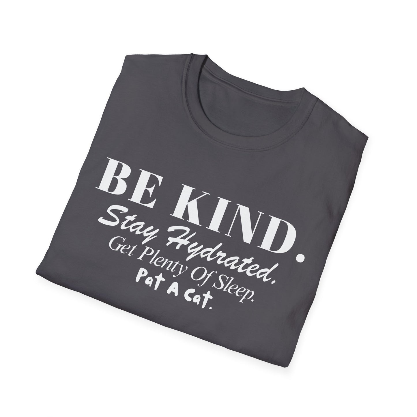 Be Kind. Stay Hydrated. Get Sleep. Pat A Cat T-shirt