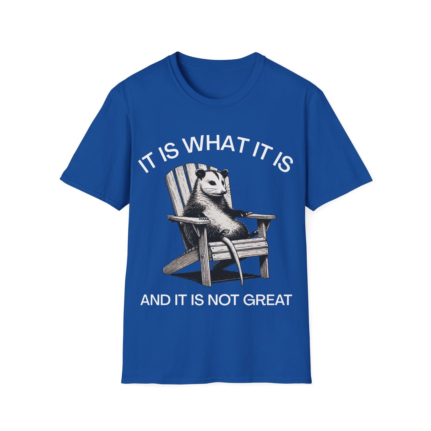 It Is What It Is And It Is Not Great (Opossum) T-shirt
