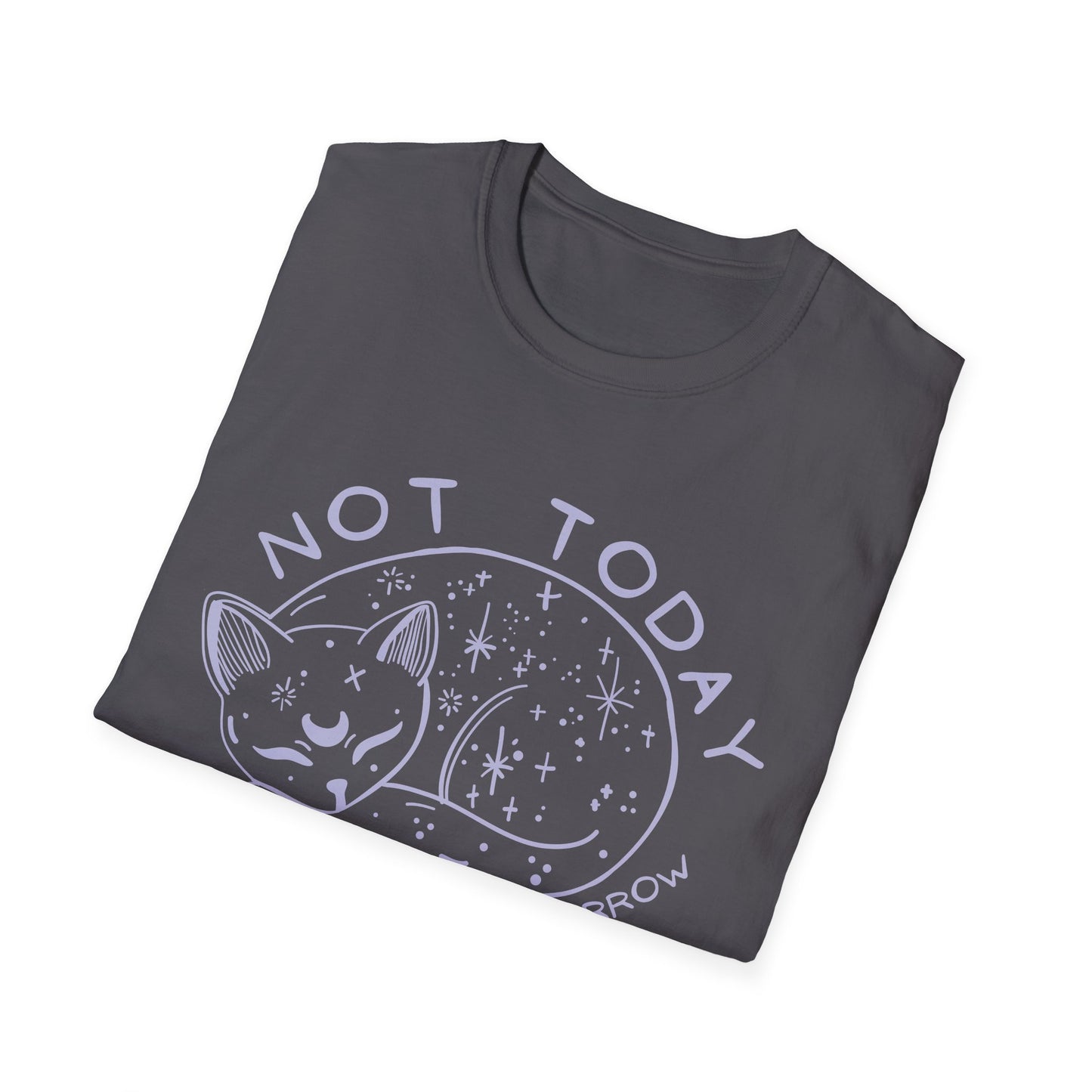 Not Today Maybe Tomorrow Cat T-shirt