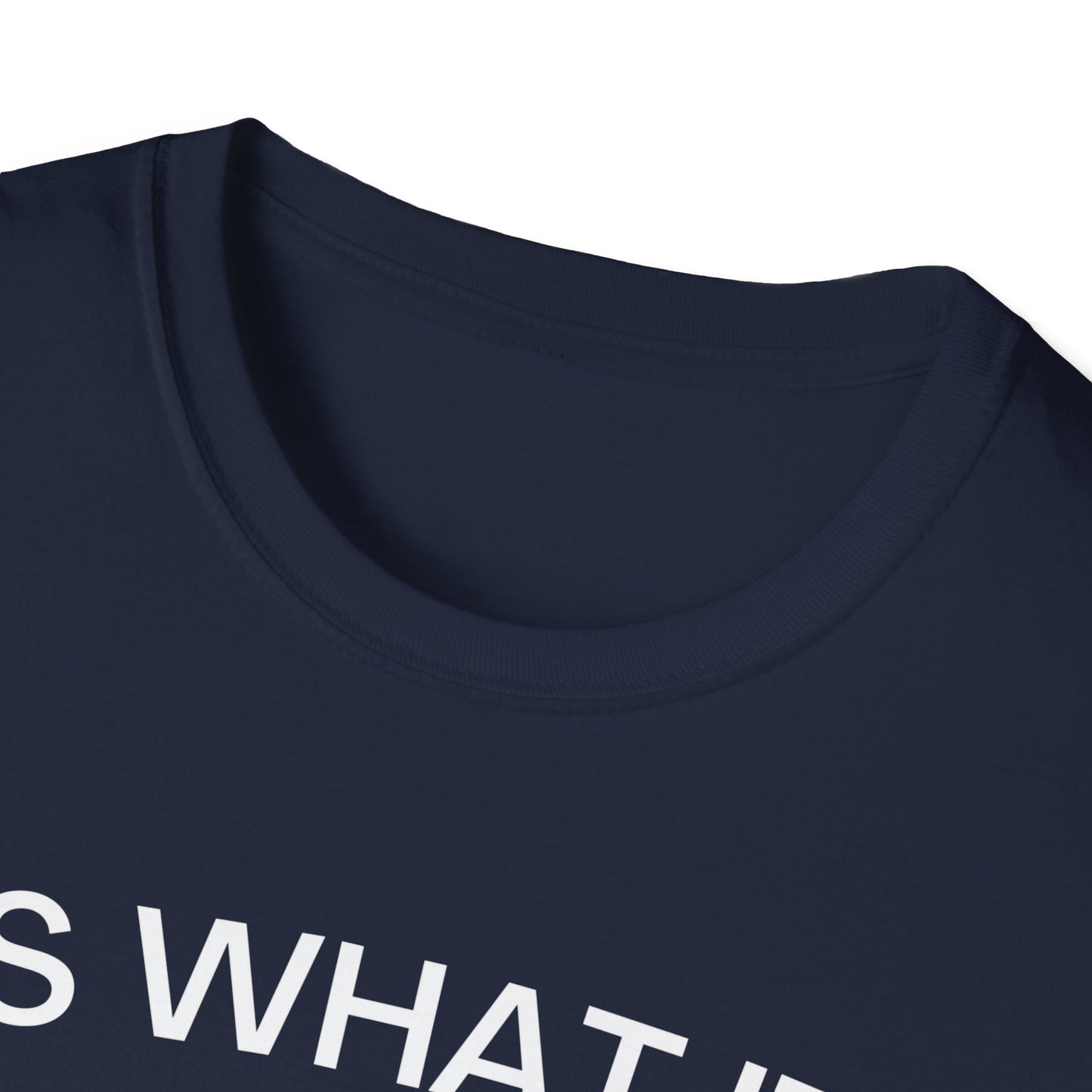 It Is What It Is And It Is Not Great (Frog) T-shirt