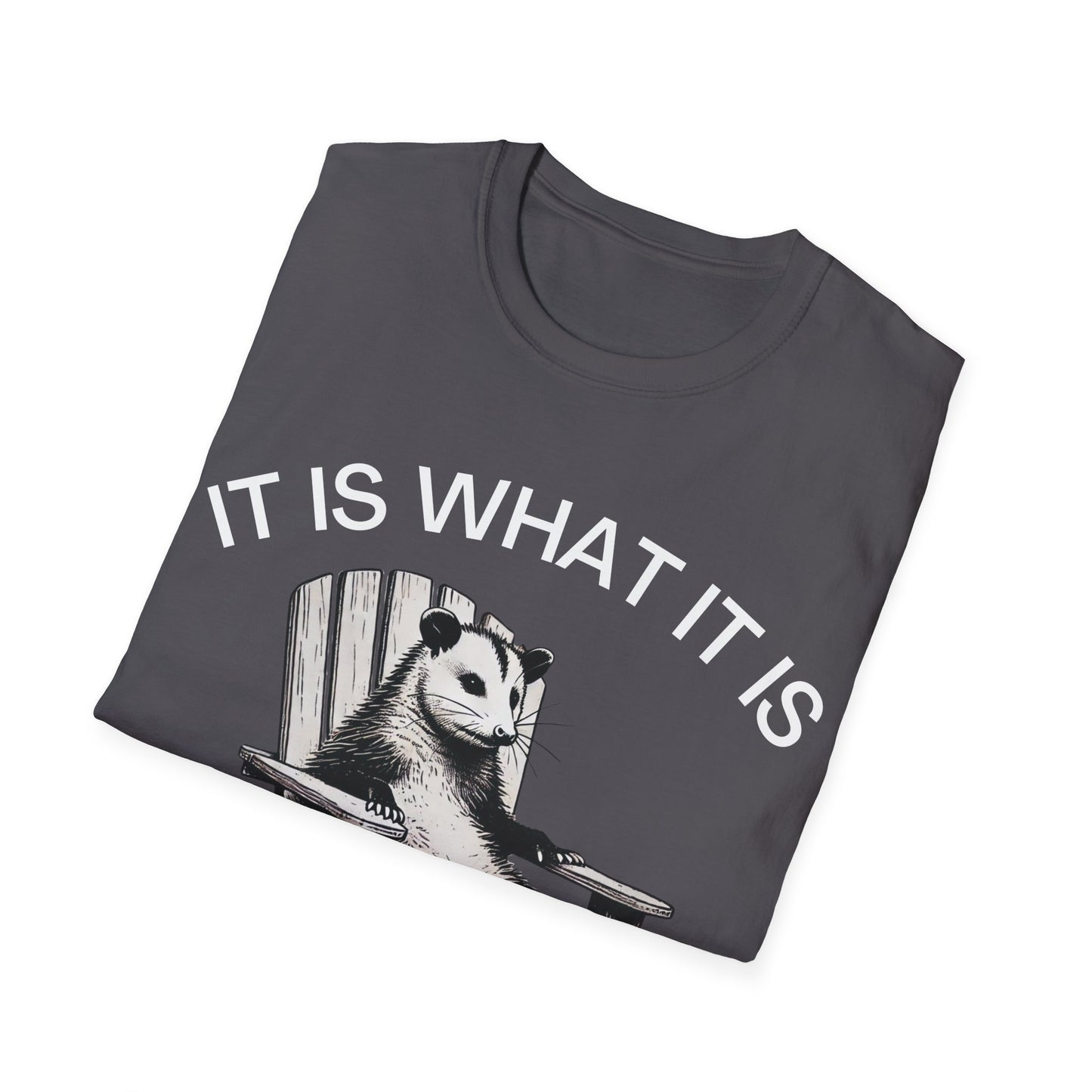 It Is What It Is And It Is Not Great (Opossum) T-shirt