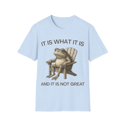 It Is What It Is And It Is Not Great (Frog) T-shirt