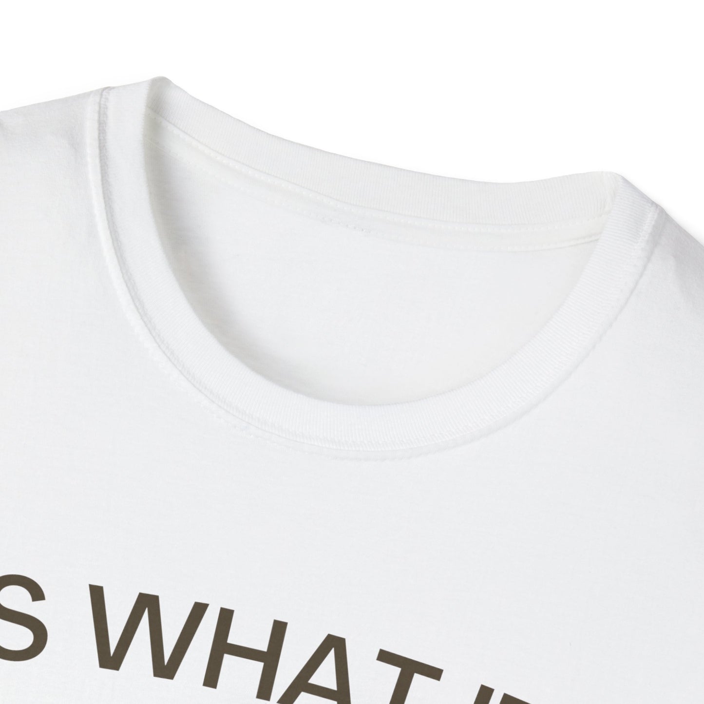 It Is What It Is And It Is Not Great (Frog) T-shirt