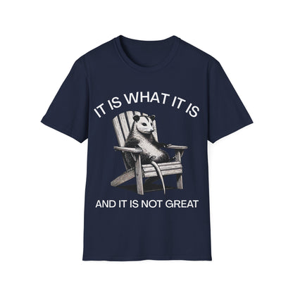 It Is What It Is And It Is Not Great (Opossum) T-shirt
