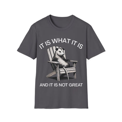 It Is What It Is And It Is Not Great (Opossum) T-shirt