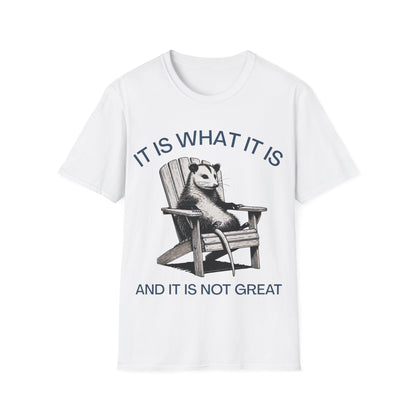 It Is What It Is And It Is Not Great (Opossum) T-shirt