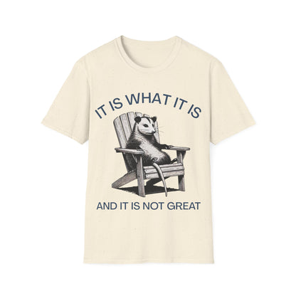 It Is What It Is And It Is Not Great (Opossum) T-shirt