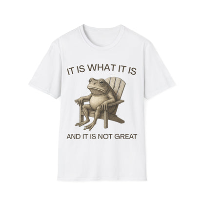 It Is What It Is And It Is Not Great (Frog) T-shirt